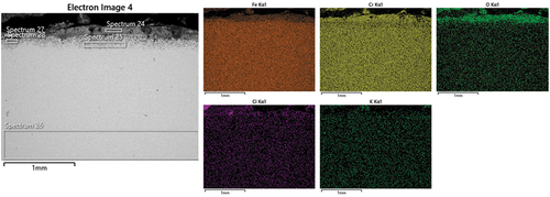 Figure 7. SEM micrograph with EDS maps of NiCrFeSi HVOF coating after 1000h exposure.