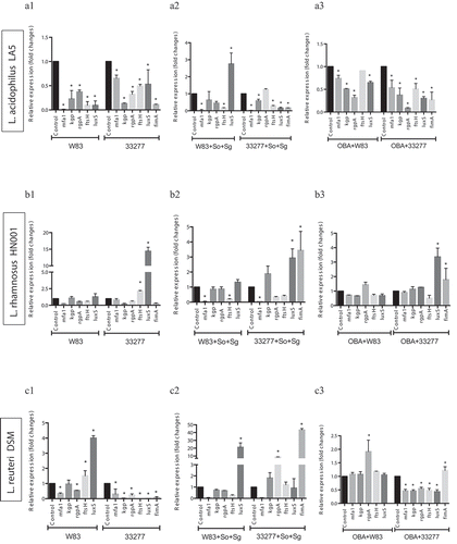 Figure 4. Effect of probiotics on the relative transcription of P. gingivalis encoding virulence genes (mfa1 – minor fimbriae; fimA – major fimbriae; kgp – lysine gingipain; rgpA – arginine gingipain; ftsH – metalloproteinase, and luxS – quorum sensing components), determined by RT-qPCR. P. gingivalis strains W83 and ATCC 33277 biofilms formed in BHIHM broth added with the supernatant of cultures of probiotics (a1 and a2 - L. acidophilus LA5, b1 and b2 – L. rhamnosus HN001, c1 and c2 – L. reuteri DSM 17938, d1 and d2 – B. breve 1101A, e1 and e2 – B. pseudolongum 1191A and f1 and f2 – B. bifidum 1622A) diluted to 1:2.5, in mono-species (a1, b1, c1, d1, 1 and f1) and multi-species (a2, b2, c2, d2, e2 and f2), and infecting OBA-9 GECs with probiotic co-infection at a MOI of 1:1,000 (a3 - L. acidophilus LA5, b3 – L. rhamnosus HN001, c3 – L. reuteri DSM 17938, d3 – B. breve 1101A, e3 – B. pseudolongum 1191A and f3 – B. bifidum 1622A). Data are expressed as fold changes in relation to positive control conditions (biofilms without probiotic cell-free supernatants or GECs without probiotic bacteria), after normalization to the endogenous control gene 16SrRNA. (*) Significant difference when compared to respective positive controls using One-way ANOVA with post hoc Tukey’s multiple comparisons (p < 0.05).