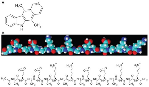 Figure 1 Molecular structures of (A) ellipticine and (B) self-assembling EAK16-II peptide (n-AEAEAKAKAEAEAKAK-c).