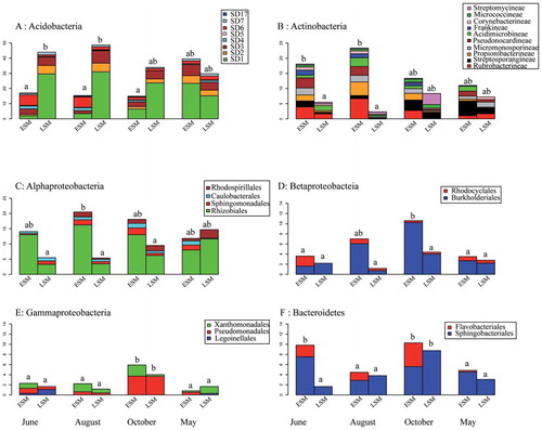 FIGURE 3. Relative abundance of bacterial phyla and class. (A) Acidobacteria, (B) Actinobacteria, (C) α-Proteobacteria, (D) β-Proteobacteria, (E) γ-Proteobacteria, and (F) Bacteroidetes. Significant differences between the two studied locations and seasons are indicated by small letters.