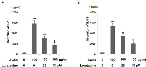 Figure 6 Treatment with the H1R antagonist loratadine prevented AGE-induced secretion of IL-1β and IL-18 in human SW1353 chondrocytes. Cells were stimulated with AGEs (100 μg/mL) in the presence or absence of loratadine (25, 50 µM) for 24 h. (A) Secretion of IL-1β; (B) Secretion of IL-18 (***P<0.0001 vs vehicle group; ##P<0.001 vs AGEs group; $P<0.01 vs AGEs+25 µM loratadine).