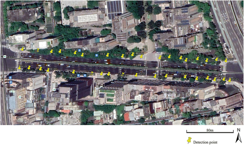 Figure 3. Distribution map of spatial detection points in pedestrian walkway.