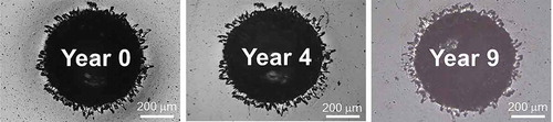 Figure 8. Top view images of the same Rockwell indentation on 4 μm DLC/Si-DLC(0.5%O2)/CoCrMo coating deposited by RF-CVD, immersed in PBS for 9 years.