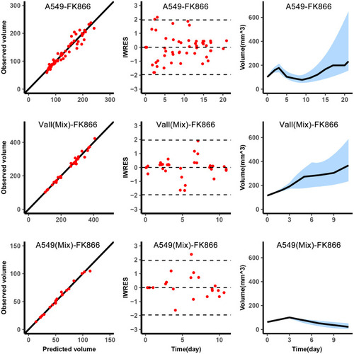 Figure 2 Graphical diagnostics of the model. Observations versus individual predictions for A549 in single with FK866 from day 0 to day 8 (top, n=5), the total volume of the mixed tumor with FK866 from day 3 to day 11 (middle, n=5), A549 in mixed tumor (bottom, n=5). Each row includes lines of identity (left), individual-weighted residuals (IWRES) versus time (middle), and the predicted volume versus time (right). In the subplots of predicted volume versus time, the blue shaded area represents the 90% confidence interval of the simulation of the median value of the experimental samples. The line represents the median of the observations.