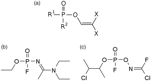 Figure 1. (a) Organophosphate structural backbone of Novichok agents. R = alkyl, alkoxy, aklylamino, or fluorine; X = halogen (F, Cl, Br) or pseudohalogen (CN). (b) Chemical structure of A-234 as described by Mirzayanov, and (c) by Hoenig and Ellison [Citation18,Citation27].