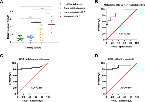 Figure 1 The expression level and diagnostic value of serum NEAT1 in the training cohort. (A) Serum NEAT1 was significantly increased in CRC, especially in metastatic CRC. (B) The diagnostic value of serum NEAT1 for differentiating metastatic CRC with non-metastatic CRC. (C) The diagnostic value of serum NEAT1 for identifying CRC from colorectal adenoma. (D) The diagnostic value of serum NEAT1 for identifying CRC from healthy controls. ***P<0.001.