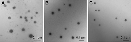 Figure 3 TEM micrograph of MPEG-SS-2SA/TPGS/PTX (A), MPEG-2SA/TPGS/PTX (B), and MPEG-SS-2SA/PTX (C) micelles.Abbreviations: MPEG, poly (ethylene glycol) monomethyl ether; PTX, paclitaxel; TEM, transmission electron microscopy; TPGS, d-α-tocopheryl polyethylene glycol succinate; SA, stearic acid.