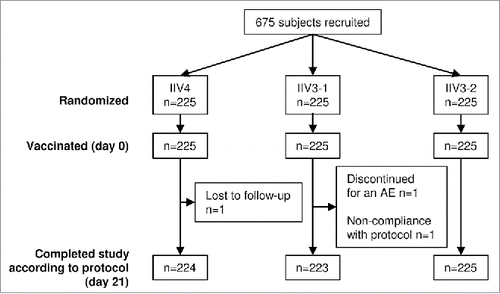 Figure 1. Participant disposition and study flow in the randomized cohort (adults ≥ 65 y of age). A total of 675 adults ≥ 65 y of age were randomly assigned 1:1:1 to receive the quadrivalent split-virion influenza vaccine (IIV4), the licensed trivalent split-virion influenza vaccine containing the B Victoria-lineage strain (IIV3–1), or an investigational split-virion IIV3 containing the B Yamagata-lineage strain (IIV3–2). AE, adverse event; n, number of participants in the group.