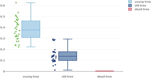 Figure 5. Boxplots presenting the data dispersion for young, old, and dead tree 24 h measurements. The median voltages measured significantly differed according to the tree age, young trees showing much higher values than older individuals.