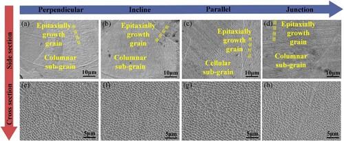 Figure 10. SEM micrographs showing the microstructures of (a, e) perpendicular, (b, f) incline and (c, g) parallel struts, as well as (j, h) junction of a unit cell of metamaterial ASZ with high magnification.