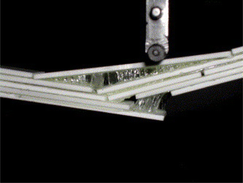 Figure 5 Photograph of a beam being deflected in bending, showing tenacious ligament formation in the thin adhesive phase between the platelets (VHB9473 adhesive). © [Elsevier]. Reproduced by permission of Mayer (Citation2006). Permission to reuse must be obtained from Elsevier.