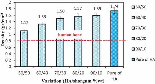 Figure 7. SEM images of HA/shellac/sorghum