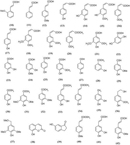 Figure 3. Phenolic acids compounds reported from Scrophularia plants.