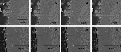 Figure 6. Cross-sectional microstructures and EDS line analysis results of mullite corroded at 650°C for 168 h in (a) 1 wt% Li2O–LiCl and (b) 3 wt% Li2O–LiCl.