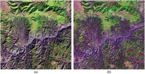 Figure 56. Fully automated two-stage stratified (class-conditional) topographic correction (STRATCOR) (Baraldi et al., Citation2010). (a) Zoomed area of a Landsat 7 ETM+ image of Colorado, USA (path: 128, row: 021, acquisition date: 2000–08-09), depicted in false colors (R: band ETM5, G: band ETM4, B: band ETM1), 30 m resolution, radiometrically calibrated into TOARF values. (b) STRATCOR applied to the Landsat image shown at left, with data stratification based on the Shuttle Radar Topography Mission (SRTM) Digital Elevation Model (DEM) and a 18-class preliminary spectral map generated at coarse granularity by the 7-band Landsat-like Satellite Image Automatic Mapper (L-SIAM) software toolbox (Baraldi, Citation2017, Citation2019a; Baraldi et al., Citation2006, Citation2010a, Citation2010b, Citation2018a, Citation2018b; Baraldi & Tiede, Citation2018a, Citation2018b), see Table 4.