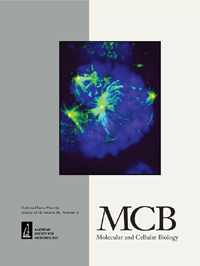 Cover image for Molecular and Cellular Biology, Volume 38, Issue 2, 2018
