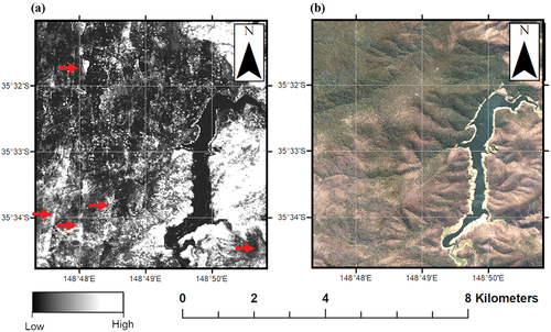 Figure 7. Comparison of (a) PAC estimated fire severity for a section of the Orroral Valley Fire to (b) corresponding post-fire aerial image. Straight line artefacts resembling airborne LiDAR flight paths (indicated by red arrows) are not represented in the post-fire UAV imagery and are likely caused by differences in scan angle between pre- and post-fire acquisitions.