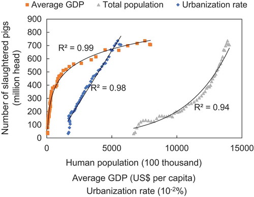 Figure 1. Effect of the total population, average gross domestic product (GDP) value per capita, and urbanization rate on the demand for pig products from 1961 to 2016 in China. Source of data: FAO (Citation2019) and NBSC (Citation2018).