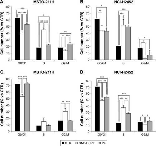 Figure 4 Effect of nanoparticles on cell cycle of MPM cells.Notes: A and B represent distribution in cycle phases of MSTO-211H and NCI-H2452 cells, respectively, after 24 hours of treatment. C and D represent distribution in cycle phases of MSTO-211H and NCI-H2452 cells, respectively, after 48 hours of treatment. Histograms are obtained from the mean ± standard error of three experiments. ***P<0.001; **P<0.01; and *P<0.05.Abbreviations: CTR, control; GNP, gold nanoparticle; GNP-HCPe, anti CD146 coated GNPs loaded with Pe; MPM, malignant pleural mesothelioma; Pe, pemetrexed.