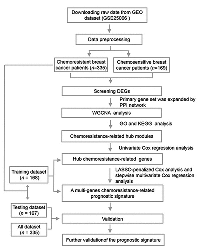 Figure 1. A flow chart outlining the development of multi-gene prognostic signatures pertaining to chemoresistant breast cancerpatient prognosis, including data collection, preprocessing, analysis, and validation