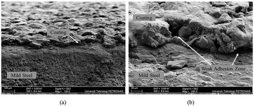 Figure 7. Cross Section SEM micrograph of the sample GPHC29 (a) at 100× of magnification and (b) at 500× of magnification.