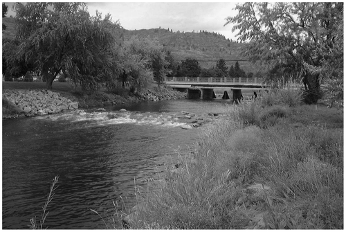Figure 3 A uniform riffle constructed in the Okanagan River in Oliver, BC. The 1.2-m high riffle floods the stilling basin and tailrace below Vertical Drop Structure No. 12 to ease fish passage. The deeper central portion of the riffle is finished with rounded boulders to form a smooth chute for recreational swimmers and rafters. Eliminating the plunge pool and hydraulic jump reduces the drowning hazard at the vertical drop structure. Riprap extends to the top of the banks for the length of the riffle.