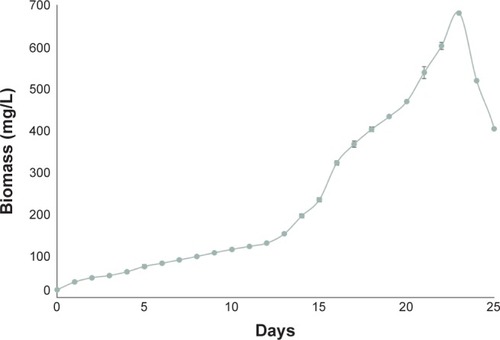 Figure 1 Growth curve for Botryococcus braunii grown in the Modified Bold 3N Medium.