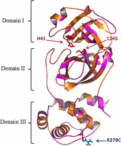 Figure 2. Superimposition of structure of the SARS-CoV-2 Mpro (pdb: 6WTT) (Orange) and model of the SARS-CoV-2 3 Mpro fromTunisian variant QNN90062.1 (pink). The catalytic dyad (Cys-145 and His-41) is colored in red.