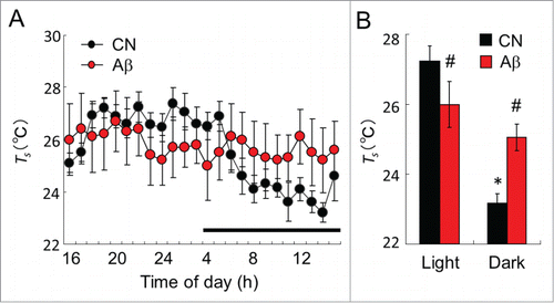Figure 2. The mean Ts in CN and Aβ–infused rats. (A) Ts value of day in CN (black circle) and Aβ-infused rats (red circle). Dark bar above abscissa indicates the dark phase of the day. (B) Mean Ts of CN (black bar) and Aβ-infused rats (red bar) in the light and dark phase. In the light phase, mean Ts of Aβ-infused rats was significantly lower than that of CN. However, in the dark phase, mean Ts of Aβ-infused rats was significantly higher than that of CN. Values are the means±S.E.Ms (n = 6 in each group). *Shows significant difference of the light phase and dark phase. # shows significant difference between CN and Aβ-infused rats.