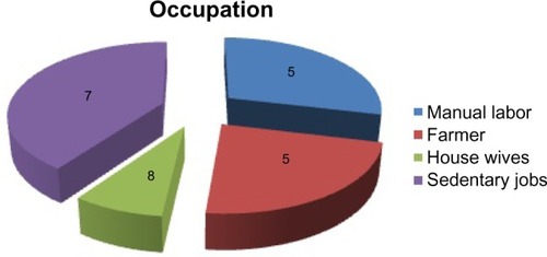 Figure 3 Occupation.