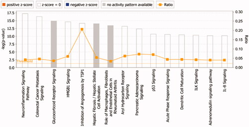 Figure 5. The core analysis of early DR treated with TWMM (–Log p-value represents the pathway correlation; ratio represents the ratio of the number of molecules to the total number of molecules in the pathway).