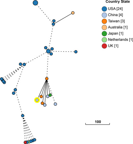 Figure 3 Phylogenetic relationship between S. aureus SA17 and closely related S. aureus ST59 strains currently deposited in the NCBI GenBank database. The lines connecting the circles indicate the clonal relationships between different isolates. The scale bar represents a pairwise allelic difference of 100 cgMLST loci.