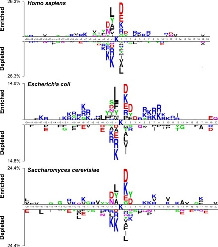 Figure 2 Sequence logo showing the occurrences of amino acid propensities of surrounding succinylation and candidate nonsuccinylation sites for seven different organisms, including Homo sapiens, Mus musculus, Escherichia coli, Mycobacterium tuberculosis, Saccharomyces cerevisiae, Toxoplasma gondii, and Solanum lycopersicum.Notes: The sequence logo is generated by two sample logos software (http://www.twosamplelogo.org/). Copyright (c) 2005 Vladimir Vacic, Lilia M. Iakoucheva, and Predrag Radivojac.Citation34