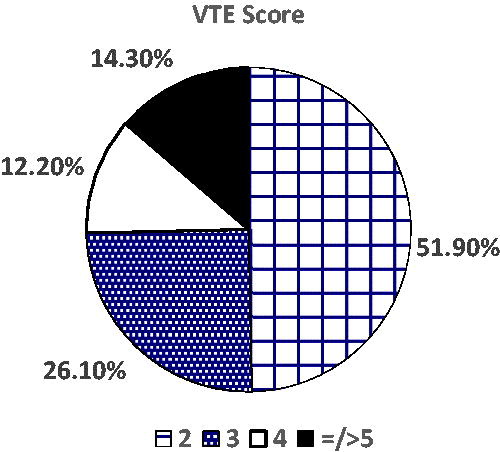 Figure 2. VTE risk score amongst women who were started on thromboprophylaxis.