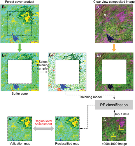 Figure 6. Flowchart of the region-based approach for validation: a 4000×4000 image was used as the validation reference (A1), training datasets were derived from the buffer zone surrounding the testing site (B1 and B2), the reclassified map generated by the proposed method (A2’) were compared with the validation map at the region level. The yellow squares indicate the locations of two enlarged sites where a detailed comparison of the validation map with the reclassified map is presented in Figure 11.