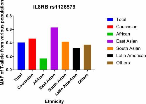 Figure 1. Minor allele frequencies of IL8RB rs1126579 C > T variation in various races