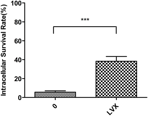 Figure 5 Phagocytosis of K. pneumoniae. The percentage of phagocytosis against hvKp increased significantly after treatment with LVX (***p < 0.001).