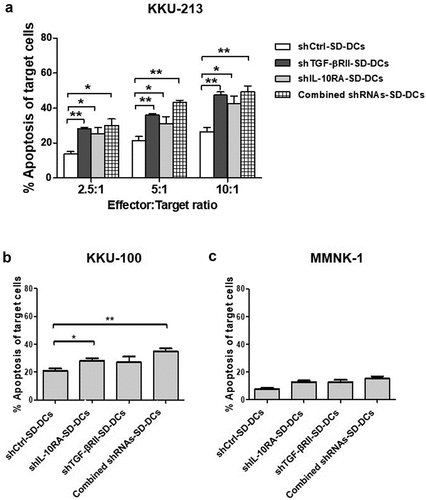 Figure 4. Cytolytic activities of activated effector cells after co-culturing with pulsed SD-DCs transduced with shRNAs to suppress TGF-β and IL-10 receptors against CCA cell lines. (a) Cytotoxicity activities of activated effector T-cells co-cultured with various conditions of pulsed SD-DCs on KKU-213 CCA cell line (at effector to target (E:T) ratios of 2.5:1, 5:1, and 10:1) examined by flow cytometry using AnnexinV-PI staining. (b) Cytolytic activities of activated effector T-cells co-cultured with pulsed SD-DCs against KKU-100 cells (E:T ratio 10:1). (c) Cytolytic activities of activated effector T-cells co-cultured with pulsed SD-DCs against MMNK-1 cells (E:T ratio 10:1). Results represent the mean ± SEM (bars) of three independent experiments. (*p < .05, **p < .01, as analyzed by Student’s t-test)