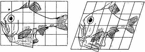 Figure 1. Diagram of Argyropelecus Olfersi (left) and Sternoptyx diaphana (right) from On Growth and Form, D'Arcy Wentworth Thompson, Public domain, via Wikimedia Commons.