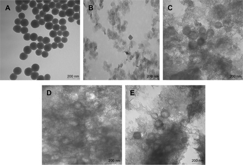 Figure 3 Transmission electron photomicrographs of the pFDNA-SiO2-NPs (A), LDH (B), and pFDNA-LDH@SiO2-NPs (C–E). Note: Magnification: 100,000×.Abbreviations: LDH, layered double hydroxide; NPs, nanoparticles; pFDNA-LDH@SiO2-NPs, Newcastle disease virus F gene encapsulated in LDH@SiO2-NPs; pFDNA-SiO2-NPs, Newcastle disease virus F gene encapsulated in the SiO2 nanoparticles.