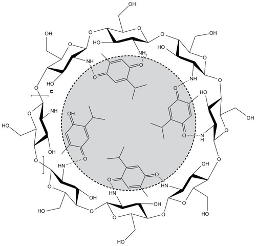 Figure 2 Chitosan nanoshell showing possible interaction between chitosan and thymoquinone.