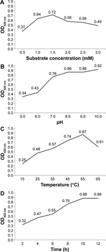 Figure 6 Optimization of reaction conditions of biosynthesis of AgNPs.Notes: Effect of (A) substrate concentration, (B) pH, (C) temperature, and (D) time on AgNP biosynthesis by the reduction of AgNO3 solution with the cell filtrate of Arthroderma fulvum.Abbreviations: AgNPs, silver nanoparticles; OD, optical density; h, hours.