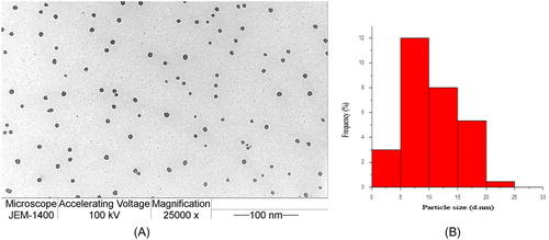 Figure 3. TEM image of the AuNPs forms using L. inermis extract at magnification of 25,000 × (a) and the histogram of the particle size distribution of the AuNPs (b).