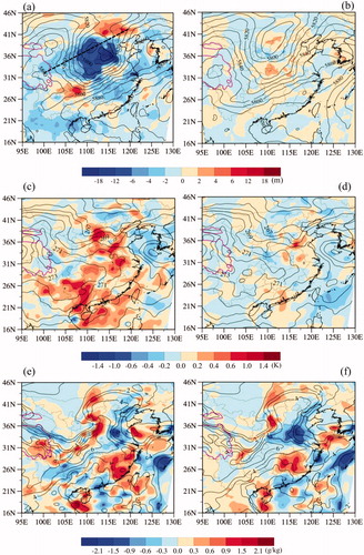 Fig. 10. Spatial distributions of the 500-hPa (a)-(b) geopotential height, (c)-(d) temperature and (e)-(f) specific humidity analyses from E4CH (left panels) and E3CH (right panels) (black curve) and the corresponding differences between E4CH and CONV (left panels) and those between E3CH and CONV (right panels) (color shading) at 0600 UTC 19 July 2016. The magenta curve shows the 2-km terrain height of the Tibet Plateau. The position of the cross sections in Fig. 11 is indicated in Fig. 10a.