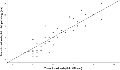 Figure 5. Tumor (n = 45) invasion depth in MRI vs. histopathology. In five cases, the dimensions compared were the same, thus only 40 dots can be seen in the scatter plot. MRI: magnetic resonance imaging; mm: millimetre.