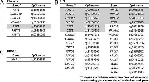 Figure 4. Differentially methylated CpGs for the three different tissues. An overall ANOVA was performed to test for differentially methylated CpGs (p < 0.05) between all study groups. UCL: umbilical cord leukocytes; HUVEC: human umbilical vein endothelial cells.