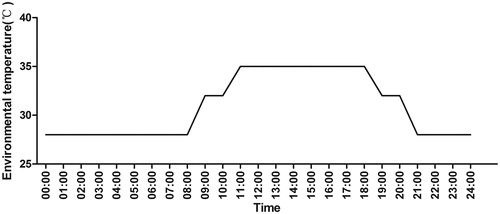 Figure 1. Illustration of thermal application in the cyclic heat stress treatment.