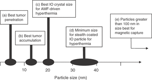 Figure 3. Approximate particle sizes that appear to be best suited for (a) tumor penetration, (b) tumor accumulation, and (c) AMF-Neel relaxation-driven hyperthermia. Also shown are the size ranges for (d) making stealth IO particles for hyperthermia, and (e) particle size needed for magnetic field capture.