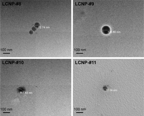 Figure 6 Transmission electron microscopy (TEM) images of liquid crystal nanoparticles (LCNP)-#8, #9, #10, and #11.