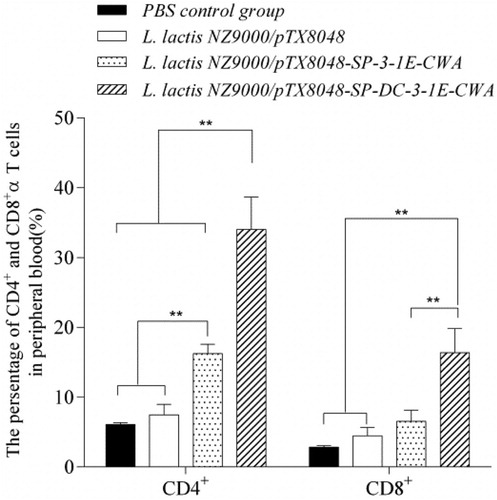 Figure 4. The proportion of CD4+ and CD8α+ T cells in peripheral blood from chickens in each group post-tertiary immunization. Chickens in each group were orally immunized with L. lactis NZ9000/pTX8048-SP-DCpep-3-1E-CWA, L. lactis NZ9000/pTX8048-SP-3-1E-CWA, L. lactis NZ9000/pTX8048, and PBS (pH 7.2), respectively. In the stage of immunization, chickens in both unchallenged control group and challenged control group were sham-inoculated orally with PBS (pH 7.2), therefore the two groups were merged and called as PBS control group. At 2 weeks post-tertiary oral immunization, lymphocytes suspension was, respectively, prepared from peripheral blood of five chickens in each group after three immunizations. The isolated lymphocytes were incubated with fluorescein-isothiocyanate (FITC)-conjugated mouse anti-chicken CD4+ antibody (0.5 mg/ml) and phycoerythrin (PE)-conjugated mouse anti-chicken CD8α+ antibody (0.5 mg/ml) (Southern Biotech). The proportion of T lymphocytes subtypes was measured by flow cytometry (Epics X MCL, Beckman Coulter). The values represent mean ± SD (n = 5). *p < 0.05, **p < 0.01.